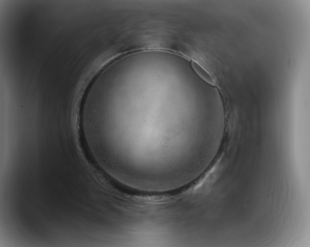 X0000090440103200707131227