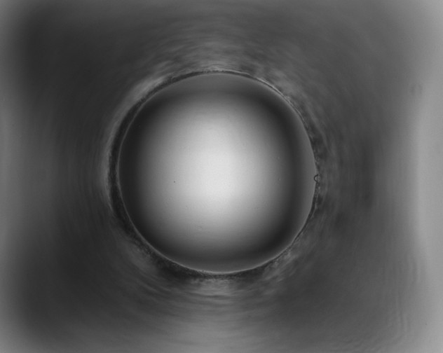 X0000090440104200707131227