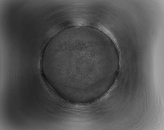 X0000090440105200707131227