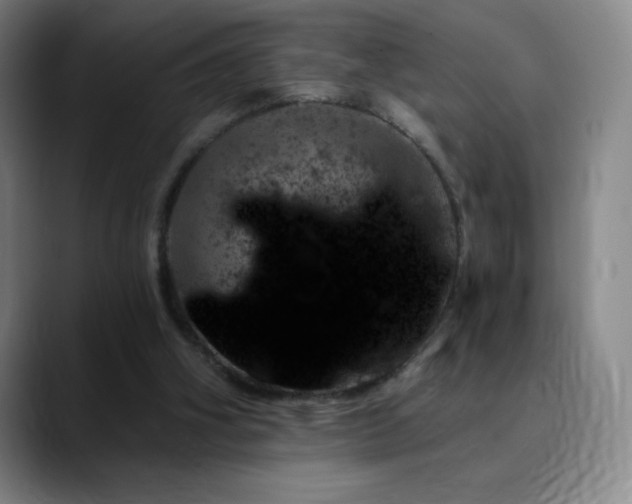 X0000090440106200707131227