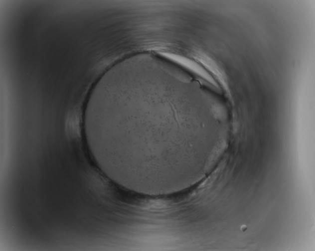 X0000090440107200707131227