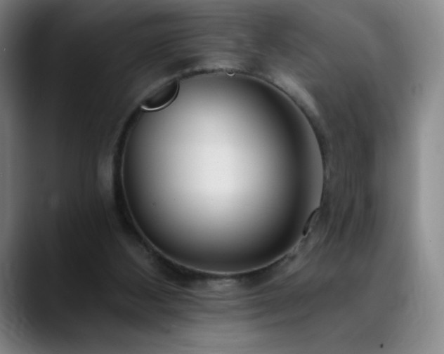 X0000090440108200707131227