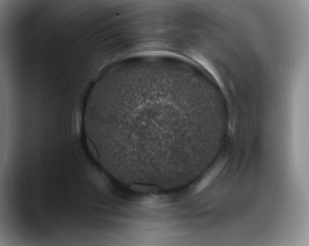 X0000090440109200707131227