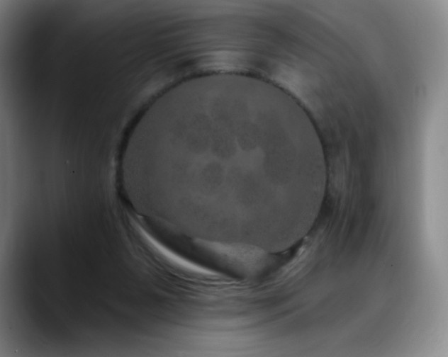 X0000090440111200707131227