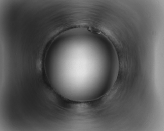 X0000090440112200707131227