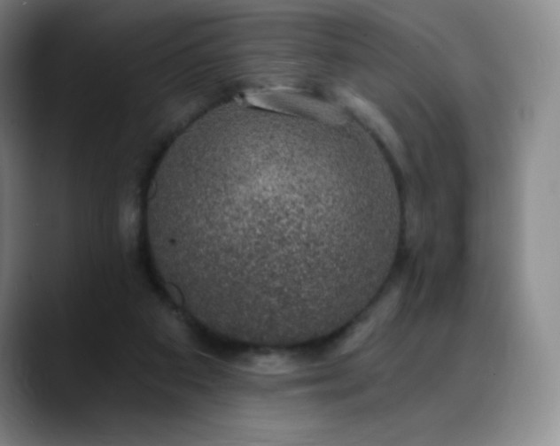 X0000090440113200707131227