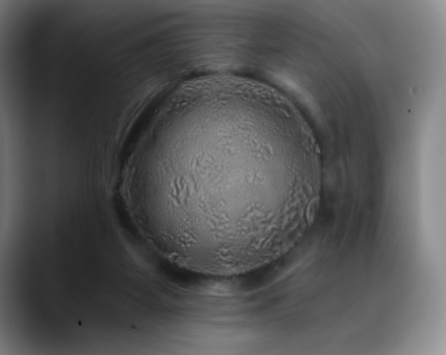 X0000090440115200707131227