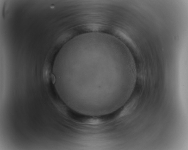 X0000090440119200707131227