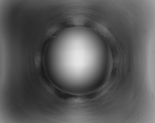 X0000090440120200707131227