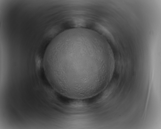 X0000090440123200707131227