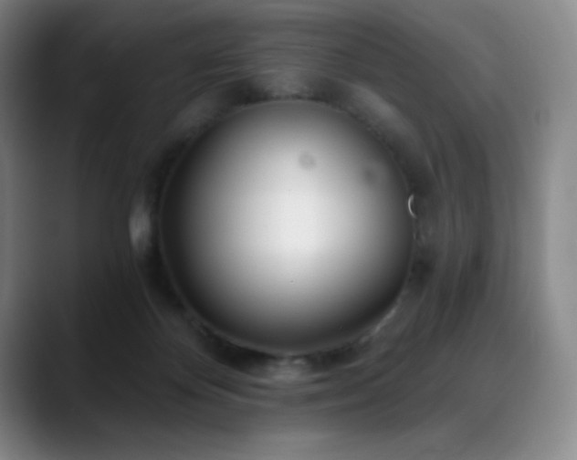 X0000090440124200707131227