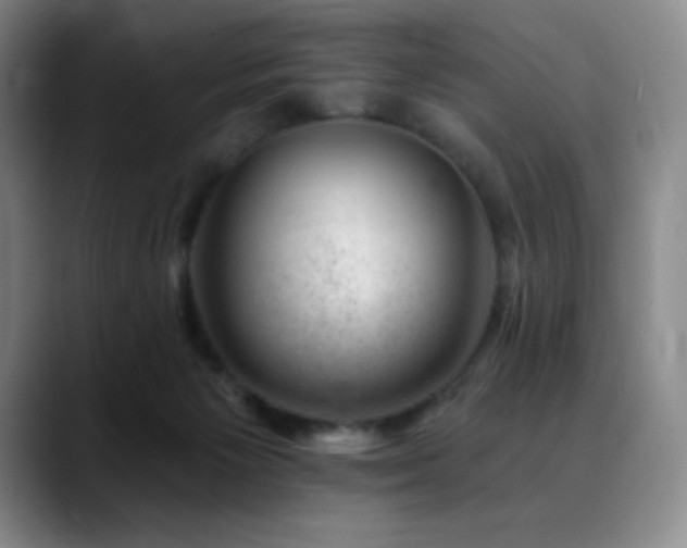 X0000090440125200707131227