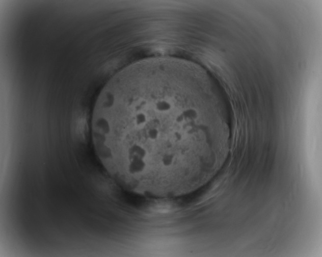 X0000090440127200707131227