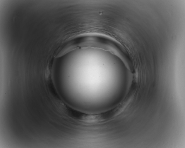 X0000090440129200707131227