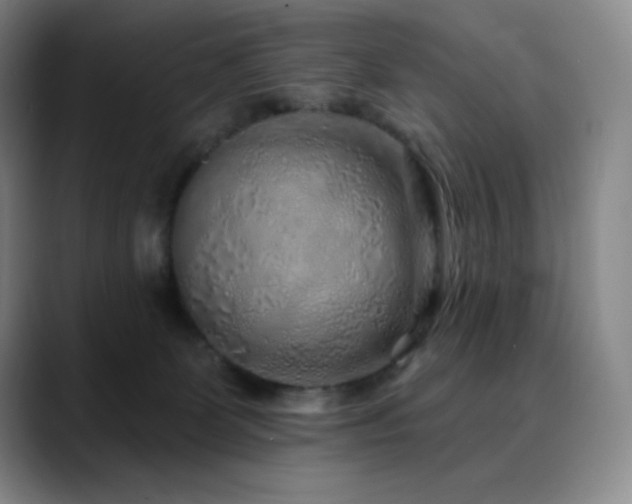 X0000090440131200707131227