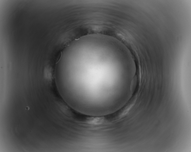 X0000090440135200707131227