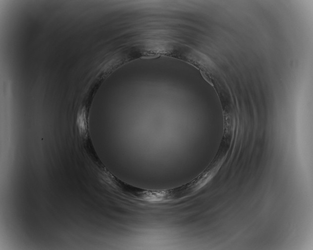 X0000090440143200707131226