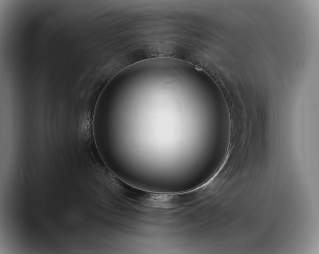 X0000090440144200707131226