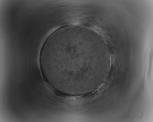 X0000090440147200707131226