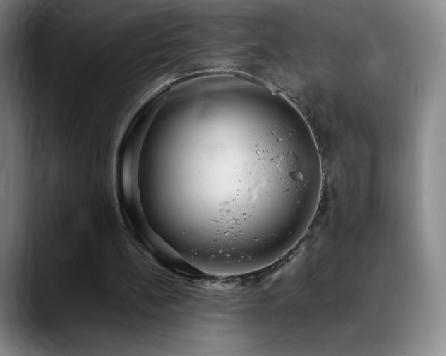 X0000090440148200707131226