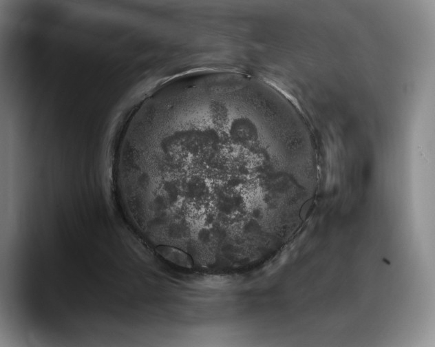 X0000090440149200707131226