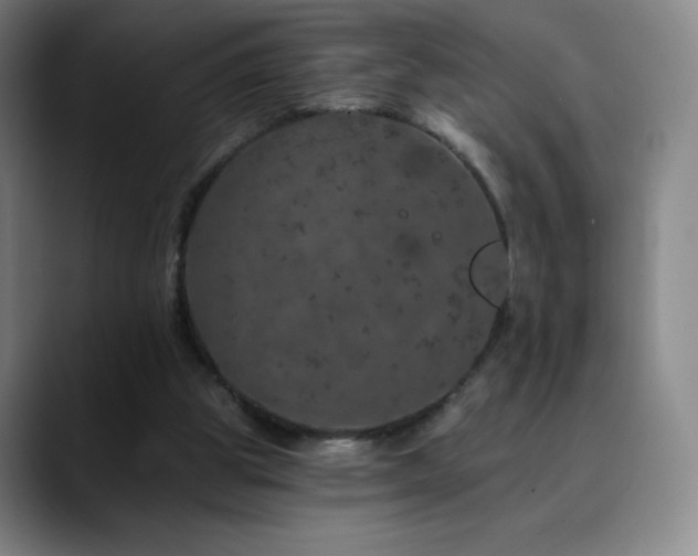 X0000090440153200707131226