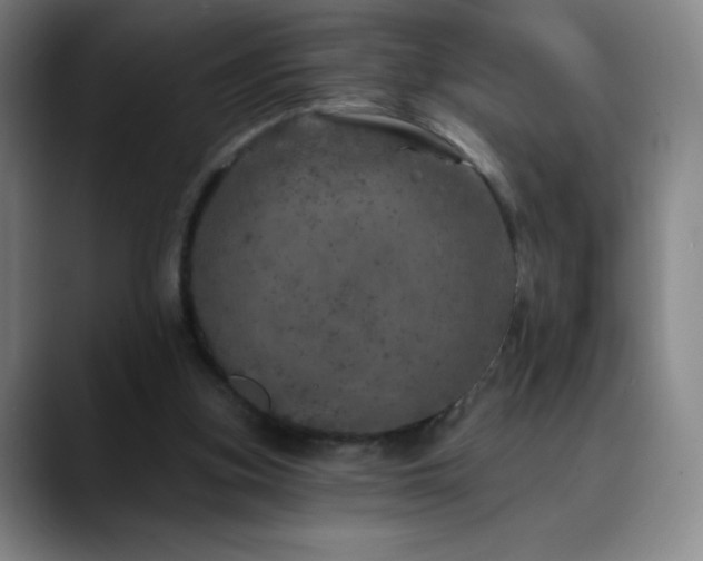 X0000090440155200707131226