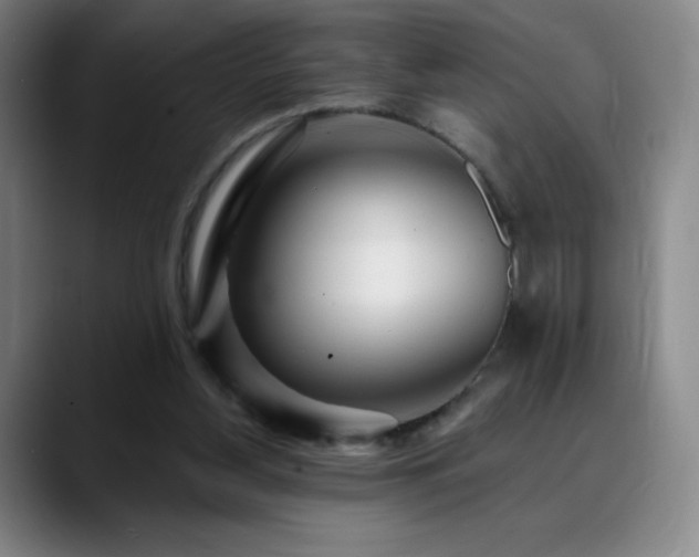 X0000090440156200707131226