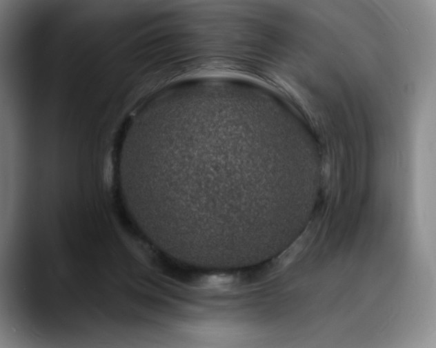 X0000090440158200707131226