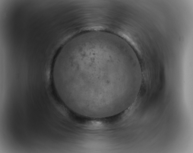 X0000090440159200707131226