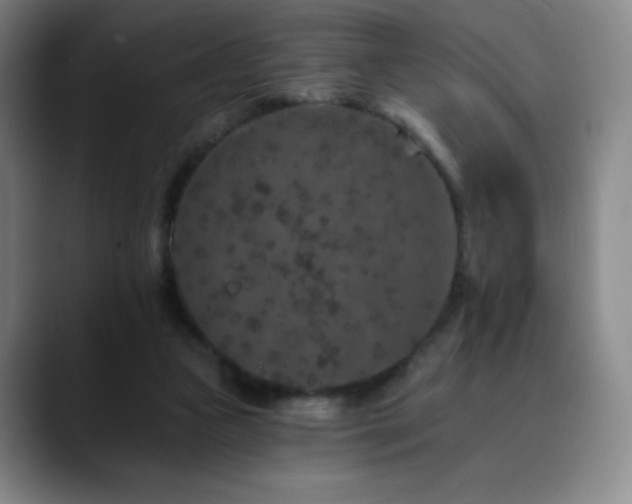 X0000090440161200707131226