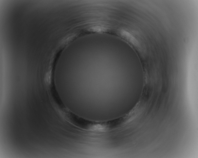 X0000090440163200707131226