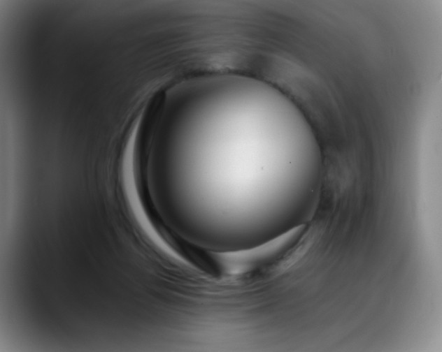 X0000090440164200707131226