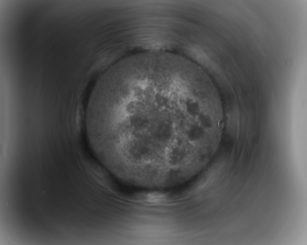 X0000090440165200707131226