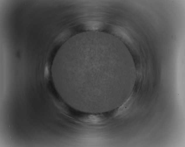 X0000090440166200707131226