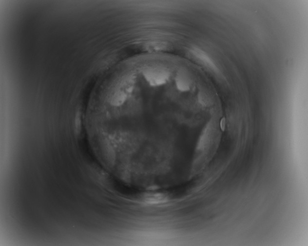 X0000090440169200707131226