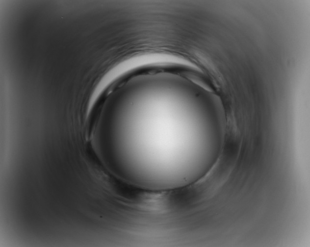 X0000090440170200707131226