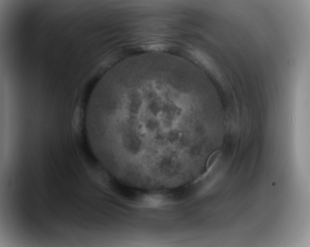 X0000090440171200707131226