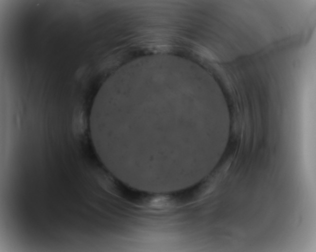 X0000090440173200707131226