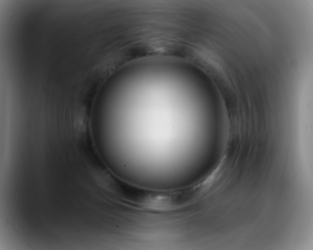 X0000090440174200707131226