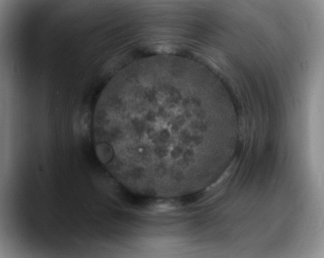 X0000090440175200707131226