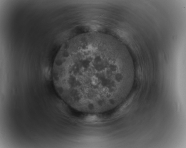 X0000090440177200707131226