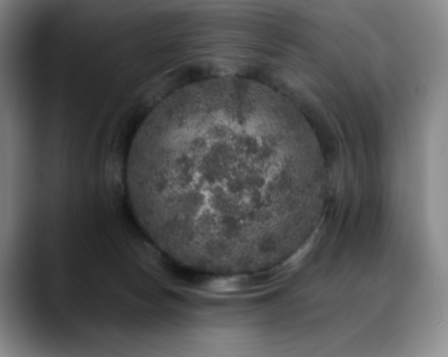 X0000090440178200707131226