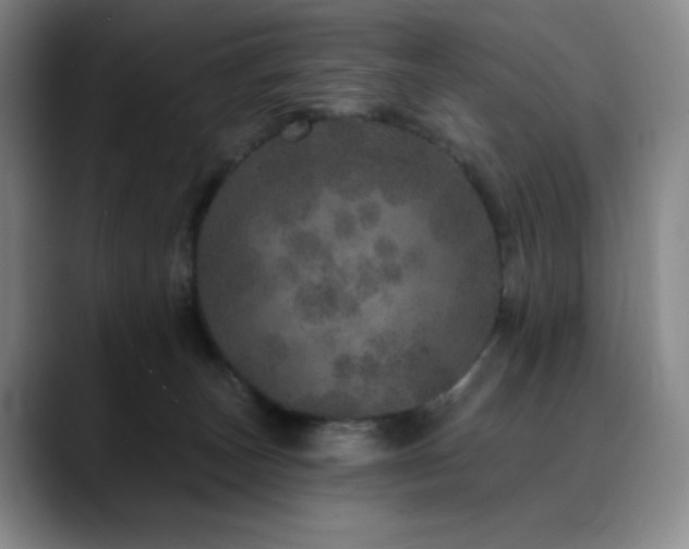 X0000090440179200707131226