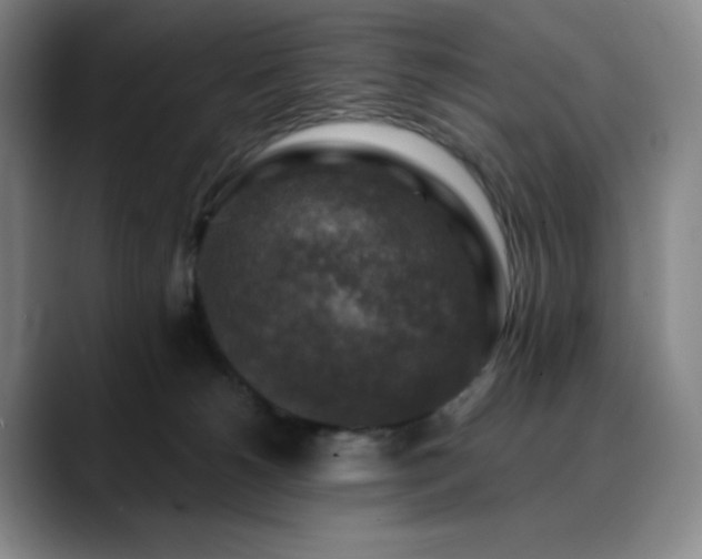 X0000090440180200707131226