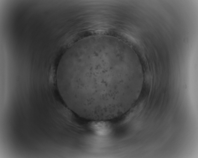 X0000090440181200707131226