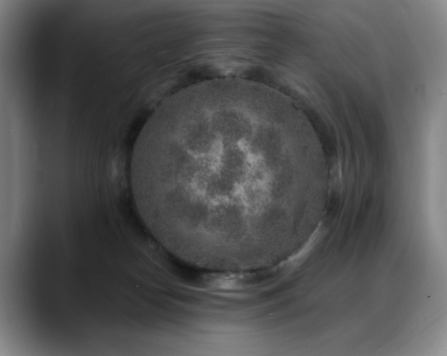 X0000090440182200707131226