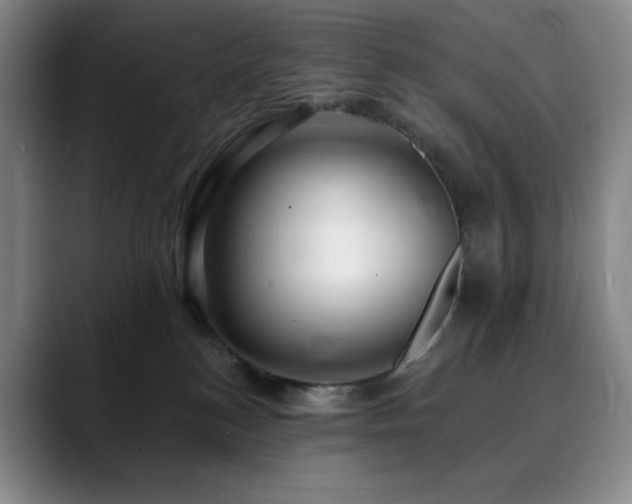 X0000090440184200707131226