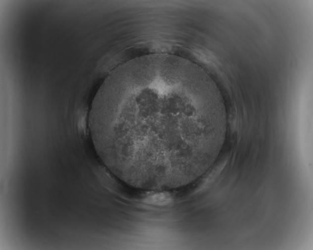 X0000090440185200707131226