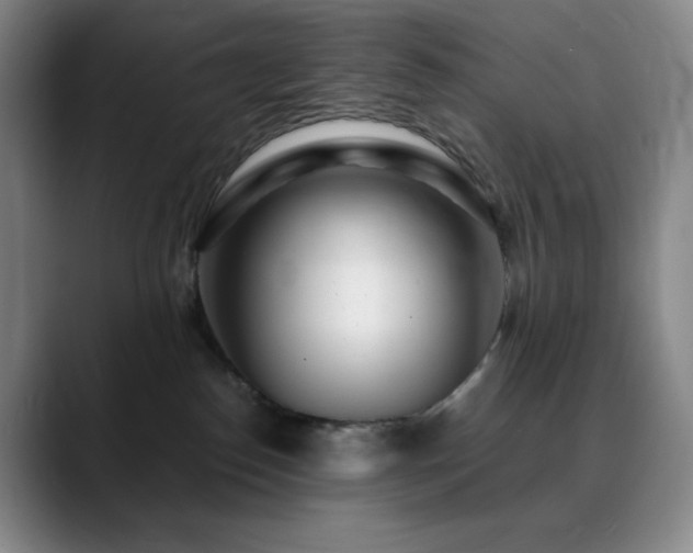 X0000090440186200707131226